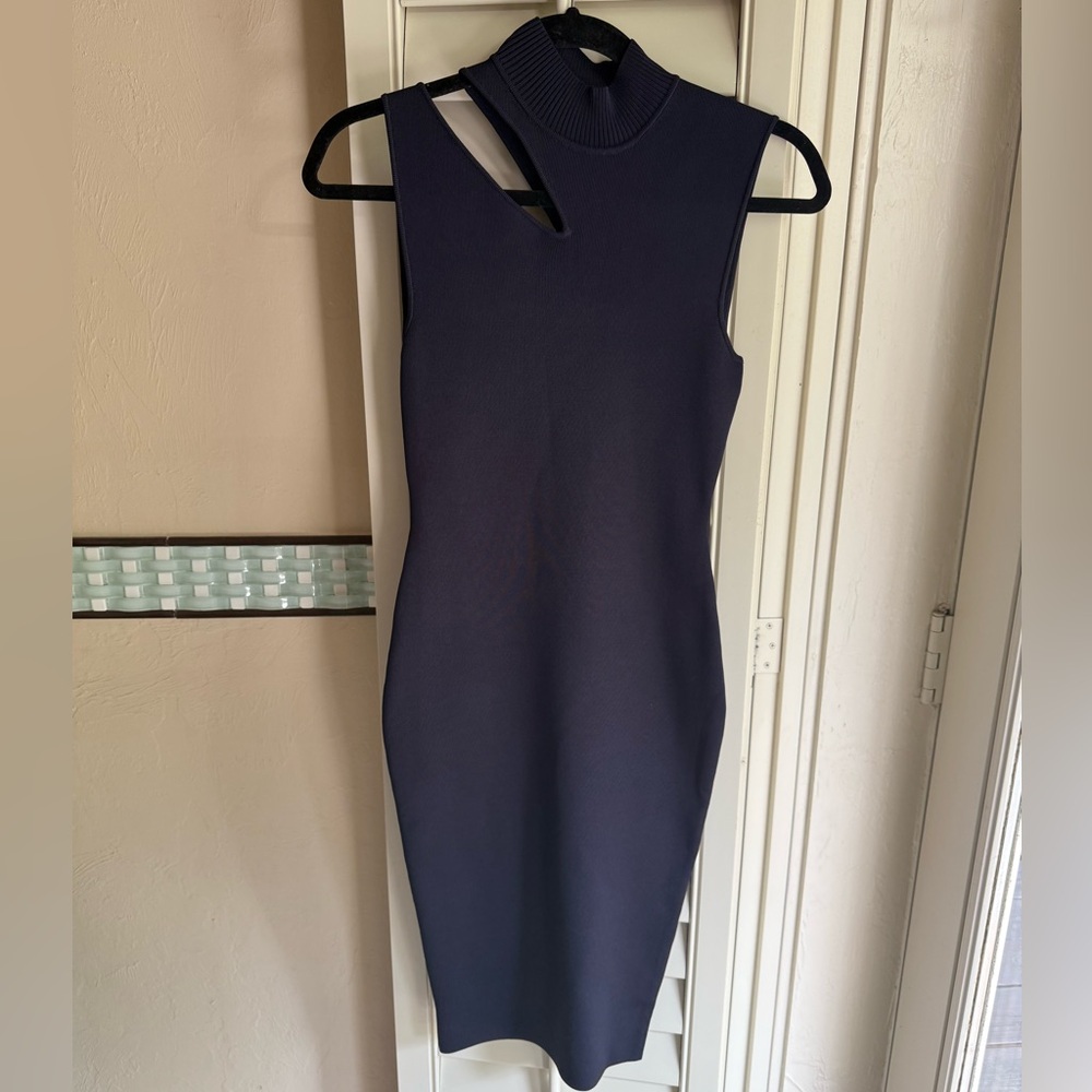Bailey 44 bodycon dress